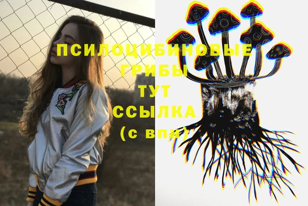 ГАЛЛЮЦИНОГЕННЫЕ ГРИБЫ Богородск