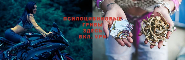 PSILOCYBIN Белоозёрский