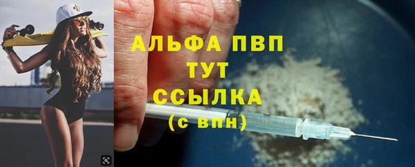 дживик Белокуриха