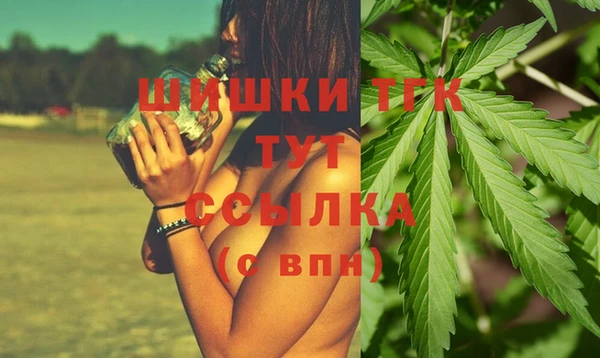 дживик Белокуриха