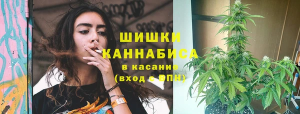 дживик Белокуриха