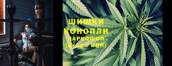 ГАЛЛЮЦИНОГЕННЫЕ ГРИБЫ Богородск