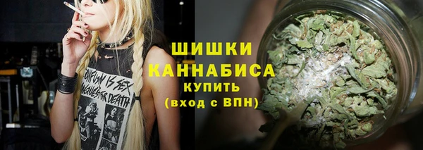дживик Белокуриха