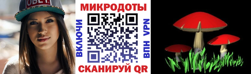 Галлюциногенные грибы Cubensis  Богородск 